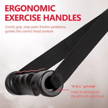 AKTIVIAN Spartan Bands™